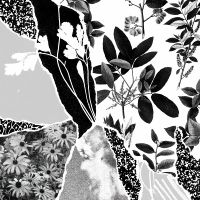 Ponctuation - Mon Herbier Du Monde Entier i gruppen CD / Pop-Rock hos Bengans Skivbutik AB (5576287)