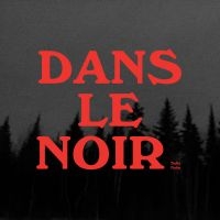 Nolin Safia - Dans Le Noir i gruppen CD hos Bengans Skivbutik AB (5576296)