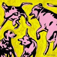 Jacobs Paul - Pink Dogs On The Green Grass i gruppen VINYL / Pop-Rock hos Bengans Skivbutik AB (5576327)