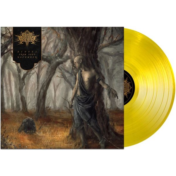 Fires In The Distance - Echoes From Deep November i gruppen VINYL / Hårdrock hos Bengans Skivbutik AB (5576389)