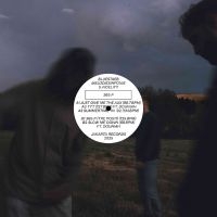 Bluestaeb Melodiesinfonie & S. Fid - 365 P i gruppen VINYL / Pop-Rock hos Bengans Skivbutik AB (5576391)