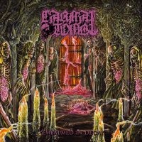 Carnal Tomb - Embalmed In Decay i gruppen CD / Hårdrock hos Bengans Skivbutik AB (5576721)