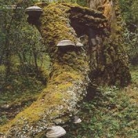 Jelinek Jan - Kosmischer Pitch (Reissue) i gruppen VINYL / Pop-Rock hos Bengans Skivbutik AB (5576768)