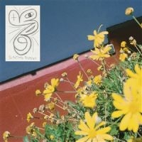 Laundromat Chicks - Sometimes Possessed i gruppen VINYL / Pop-Rock hos Bengans Skivbutik AB (5576774)