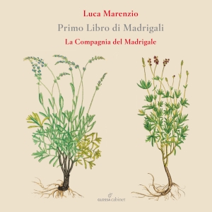 Luca Marenzio - First Book Of Madrigals (1580) i gruppen CD / Klassiskt hos Bengans Skivbutik AB (5577002)