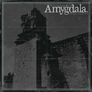 Amygdala - Our Voices Will Soar Forever i gruppen ÖVRIGT / Övrigt / aub hos Bengans Skivbutik AB (5577181)