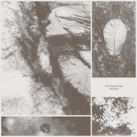 Park Jiha - All Living Things i gruppen VINYL / Pop-Rock hos Bengans Skivbutik AB (5577621)