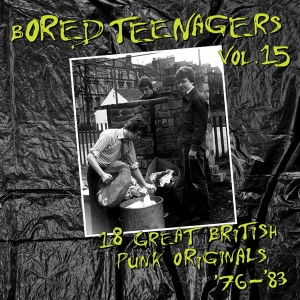 Various Artist - Bored Teenagers, Vol. 15 i gruppen VINYL / Punk hos Bengans Skivbutik AB (5578325)
