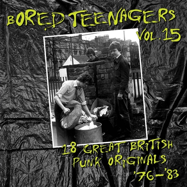 Various Artist - Bored Teenagers, Vol. 15 i gruppen VINYL / Punk hos Bengans Skivbutik AB (5578325)