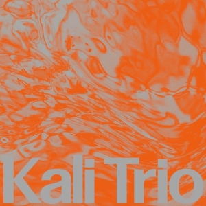 Kali Trio - The Playful Abstract i gruppen ÖVRIGT / Övrigt / aub hos Bengans Skivbutik AB (5578377)