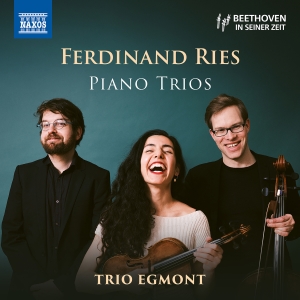 Ferdinand Ries - Piano Trios i gruppen CD / Nyheter hos Bengans Skivbutik AB (5578755)