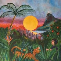 Midan - Letter To Brazil i gruppen VINYL / Pop-Rock hos Bengans Skivbutik AB (5578967)