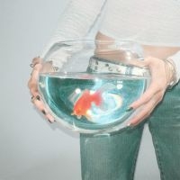 Fish Narc - Frog Song i gruppen VINYL / Pop-Rock hos Bengans Skivbutik AB (5578977)