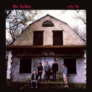 Feelies The - Only Life i gruppen VINYL / Pop-Rock hos Bengans Skivbutik AB (5579030)
