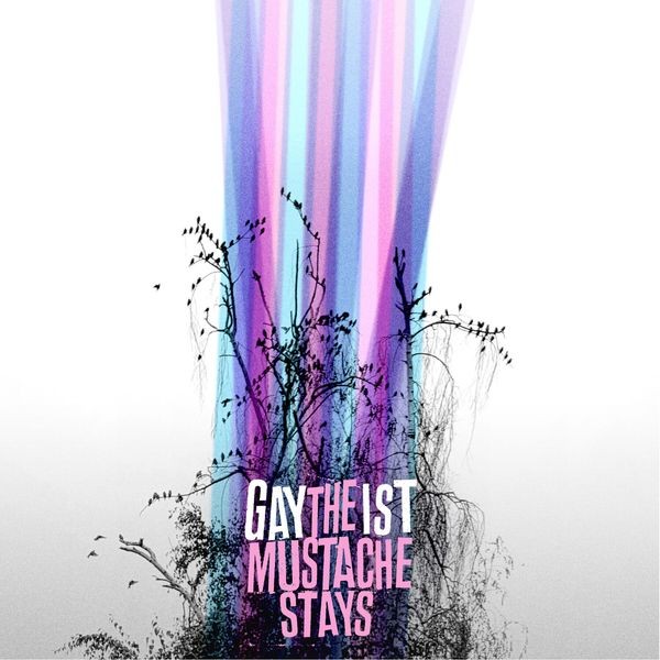 Gaytheist - The Mustache Stays i gruppen VINYL / Pop-Rock hos Bengans Skivbutik AB (5579110)