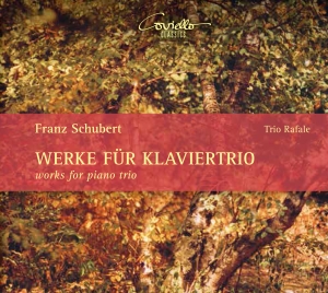 Franz Schubert - Works For Piano Trio i gruppen CD / Klassiskt hos Bengans Skivbutik AB (5580506)