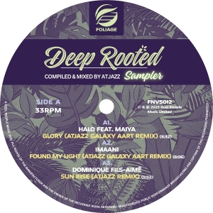 V/A - Deep Rooted (Compiled & Mixed By Atjazz) Vinyl Sampler i gruppen ÖVRIGT / Övrigt / aub hos Bengans Skivbutik AB (5583069)