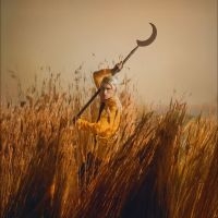 Wolf Patrick - Crying The Neck i gruppen CD / Pop-Rock hos Bengans Skivbutik AB (5584565)