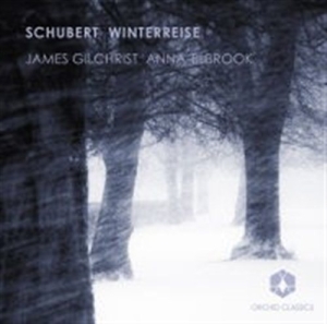 Schubert - Winterreise i gruppen Externt_Lager / Naxoslager hos Bengans Skivbutik AB (558617)