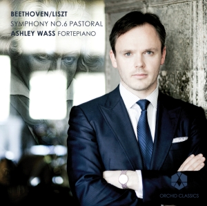 Ashley Wass - Symphony No.6 i gruppen Externt_Lager / Naxoslager hos Bengans Skivbutik AB (558630)
