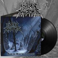 Frozen Shadows - Dans Les Bras Des Immortels (Black i gruppen VINYL / Hårdrock hos Bengans Skivbutik AB (5587429)