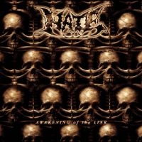 Hate - Awakening Of The Liar i gruppen VINYL / Hårdrock hos Bengans Skivbutik AB (5587777)