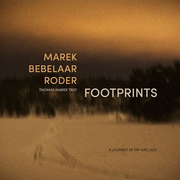 Thomas Marek Trio - Footprints i gruppen VINYL / Pop-Rock hos Bengans Skivbutik AB (5588075)