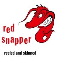 Red Snapper - Reeled And Skinned (30Th Anniversar i gruppen VINYL / Pop-Rock hos Bengans Skivbutik AB (5588091)