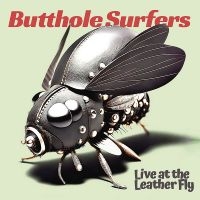 Butthole Surfers - Live At The Leather Fly (Opaque Pin i gruppen VINYL / Pop-Rock hos Bengans Skivbutik AB (5588891)