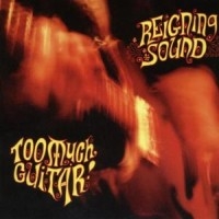 Reigning Sound - Too Much Guitar i gruppen CD / Pop-Rock hos Bengans Skivbutik AB (558943)