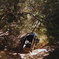 Segall Ty - Possession i gruppen Pop-Rock hos Bengans Skivbutik AB (5589494)