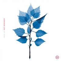 Matt Berninger - Get Sunk i gruppen CD / Pop-Rock hos Bengans Skivbutik AB (5589560)