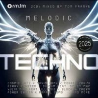 Various Artists - Melodic Techno 2025 i gruppen VINYL / Pop-Rock hos Bengans Skivbutik AB (5589631)