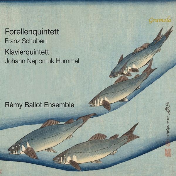 Schubert & Hummel - Forellenquintett & Klavierquintett i gruppen CD / Klassiskt hos Bengans Skivbutik AB (5589835)
