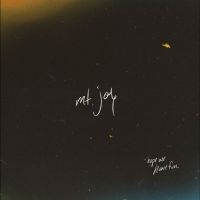 Mt. Joy - Hope We Have Fun i gruppen VINYL / Pop-Rock hos Bengans Skivbutik AB (5590016)