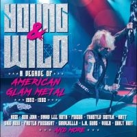 Various Artists - Young And Wild - A Decade Of Americ i gruppen CD / Pop-Rock hos Bengans Skivbutik AB (5590131)