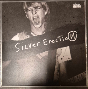 Silver Erection - Politics i gruppen VINYL / Punk hos Bengans Skivbutik AB (5590609)