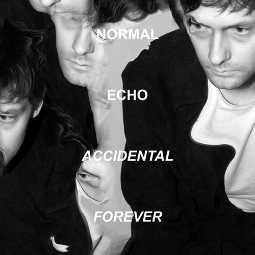 Normal Echo - Accidental Forever i gruppen ÖVRIGT / Övrigt / aub hos Bengans Skivbutik AB (5590639)