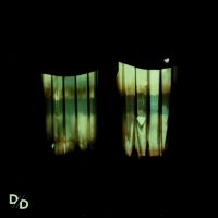 Divide And Dissolve - Insatiable (Green Vinyl) i gruppen VINYL / Hårdrock hos Bengans Skivbutik AB (5591381)