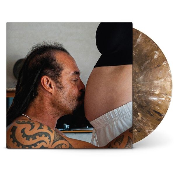 Michael Franti And Spearhead - Welcome To The Family i gruppen VINYL / Pop-Rock hos Bengans Skivbutik AB (5591422)