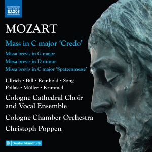Mozart W A - Complete Masses, Vol. 6 i gruppen CD / Nyheter hos Bengans Skivbutik AB (5591736)