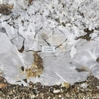 Barnes Tim - Lost Words i gruppen VINYL / Pop-Rock hos Bengans Skivbutik AB (5592036)