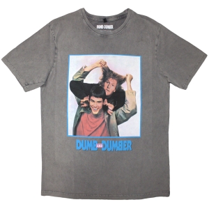 Dumb & Dumber Movie - Movie Poster Stone Wash Uni Grey T-Shirt i gruppen MERCHANDISE / T-shirt / Film-Musikal hos Bengans Skivbutik AB (5593176r)