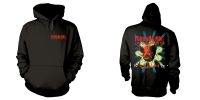 Corrosion Of Conformity - Hood - Wiseblood (L) i gruppen MERCHANDISE / Hoodies / Hårdrock hos Bengans Skivbutik AB (5593854)