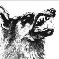 Crippled Black Phoenix - I, Vigilante (Black Vinyl LP) i gruppen VINYL / Pop-Rock hos Bengans Skivbutik AB (5594235)