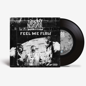 Naughty By Nature - Feel Me Flow i gruppen ÖVRIGT / Övrigt / aub hos Bengans Skivbutik AB (5594351)