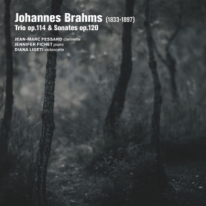 Jean-Marc Fessard & Jennifer Fichet & Diana Ligeti - Brahms: Trio Op. 114 Sonates Op. 120 i gruppen ÖVRIGT / Övrigt / aub hos Bengans Skivbutik AB (5594394)