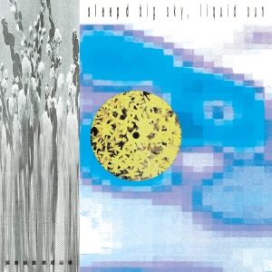 Sleep D - Big Sky, Liquid Sun i gruppen VINYL / Norsk Musik hos Bengans Skivbutik AB (5594530)