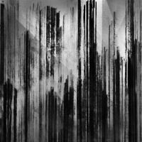 Cult Of Luna - Vertikal i gruppen CD / Hårdrock hos Bengans Skivbutik AB (560029)