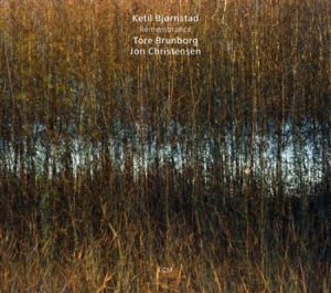 Ketil Bjørnstad/Jon Christensen/Tor - Remembrance i gruppen CD / Övrigt hos Bengans Skivbutik AB (560210)